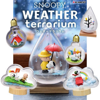 Rement Snoopy Terrarium Model Mystery Box