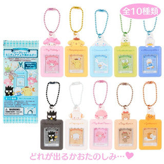 Sanrio Mini Frame Card Holder Mystery box (Blue Pack)