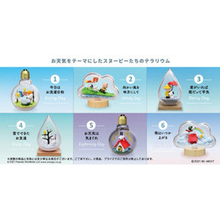 Rement Snoopy Terrarium Model Mystery Box